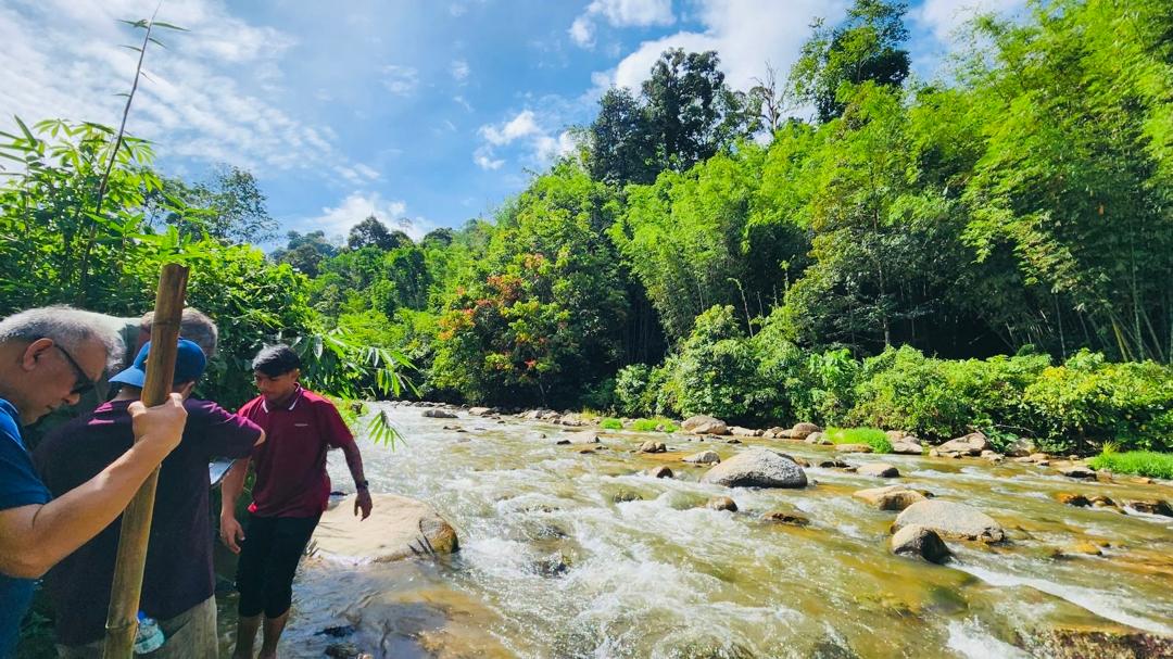 river around the forest reserve from where FSC-certified bamboo is harvested
