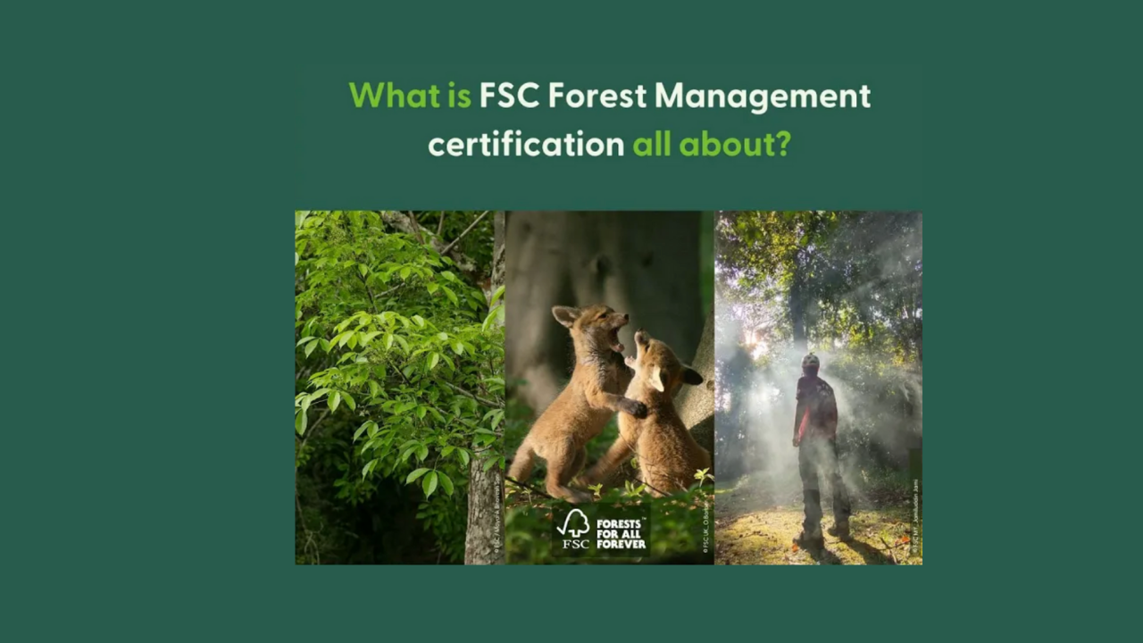 what is FSC FM about