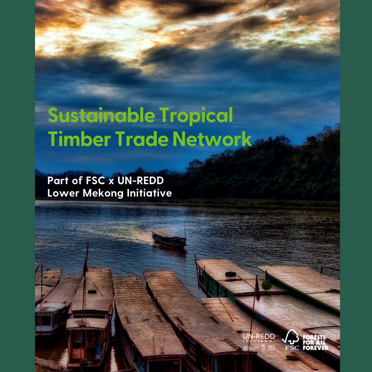 Timber Trade Network