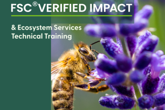 2025 ES technical training