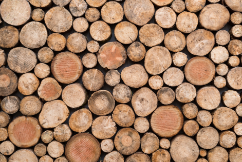 wood