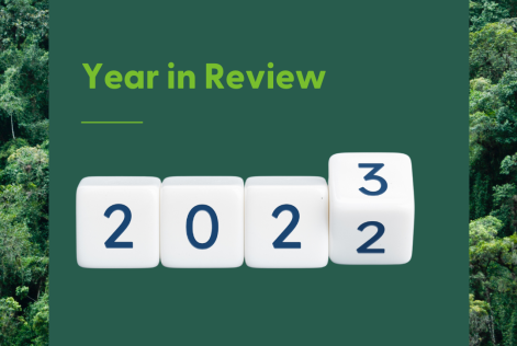Year in Review
