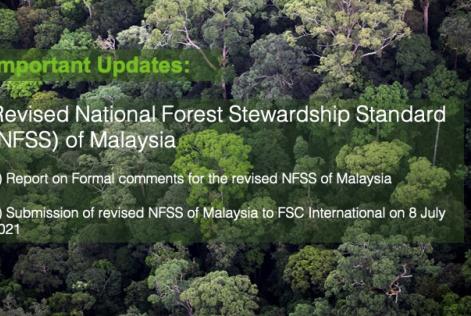 Report on Final comments announcement