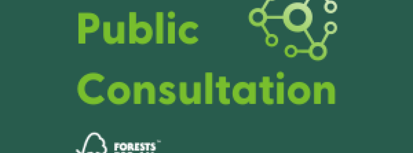 Public consultation