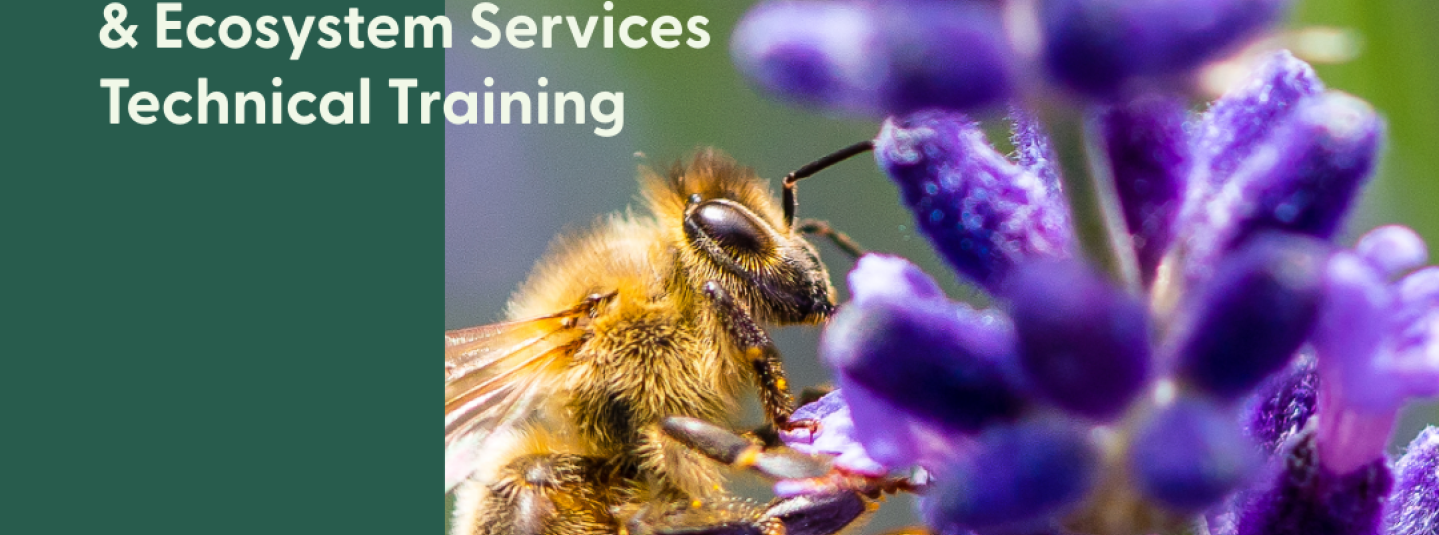 2025 ES technical training