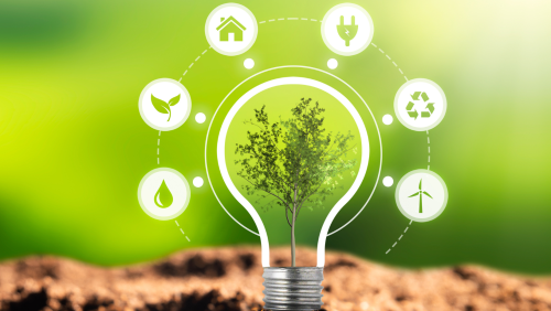 benefits of responsible forestry