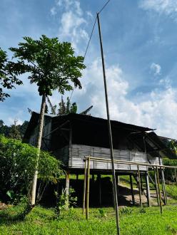 orang asli house
