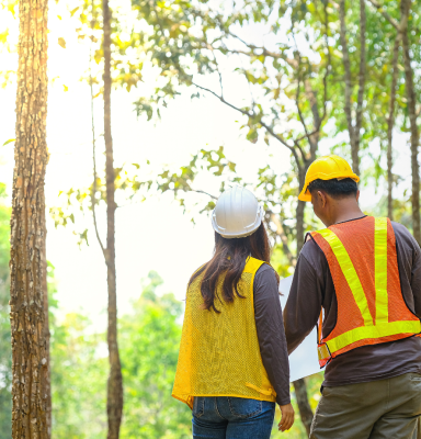 forest owners