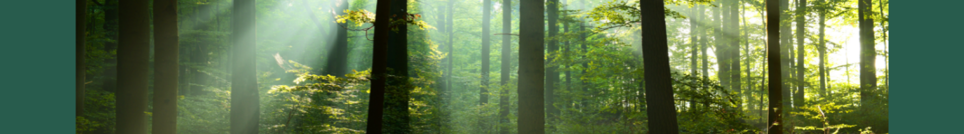 Website Hero_Climate Awareness